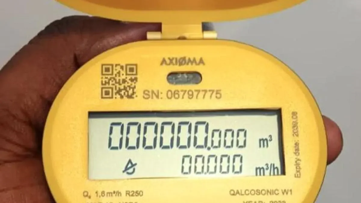 Himachal Court Ruling on Smart Meters Impacts India's Rs 45,000 Crore Smart Meter Market