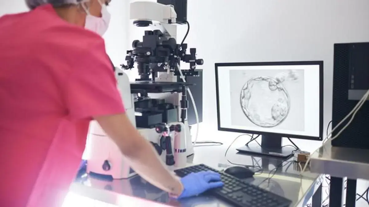 NCW Forms Expert Panel to Review IVF, ART Regulations