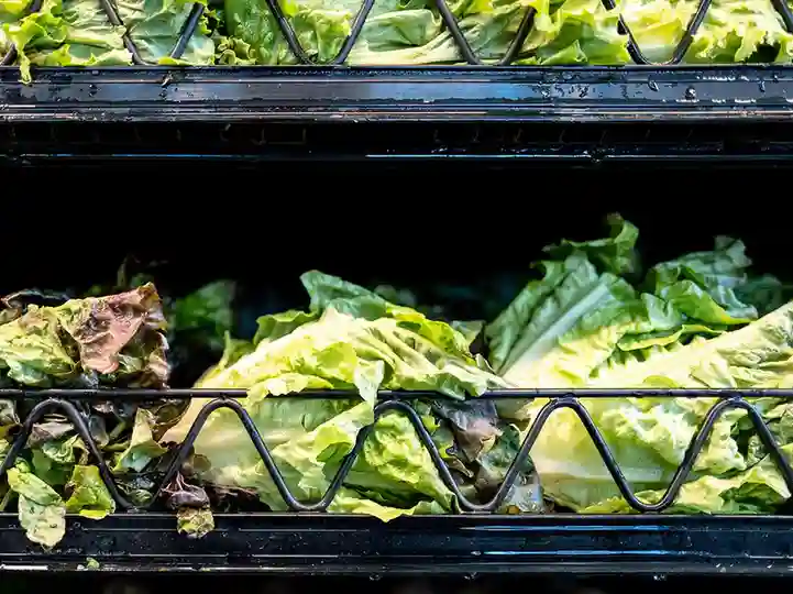 Cyclosporiasis outbreak surges in Quebec as Michigan probes lettuce