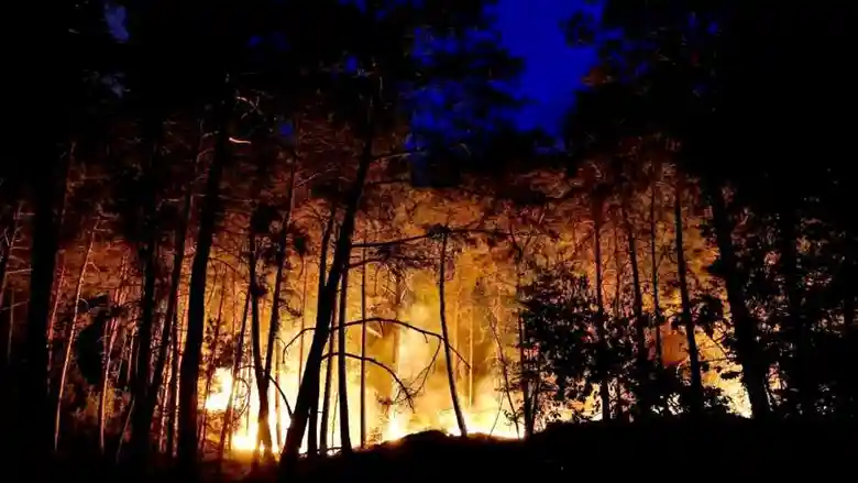 Wildfires near Paris prompt aerial firefighting response