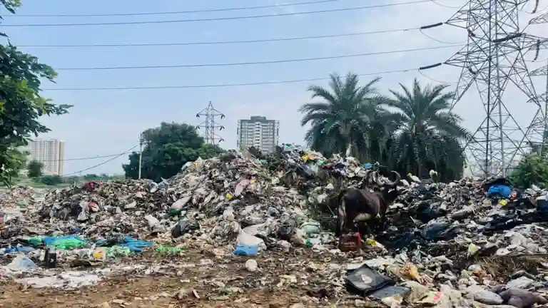 Bengaluru Launches ‘Freedom From Waste’ Drive on August 1